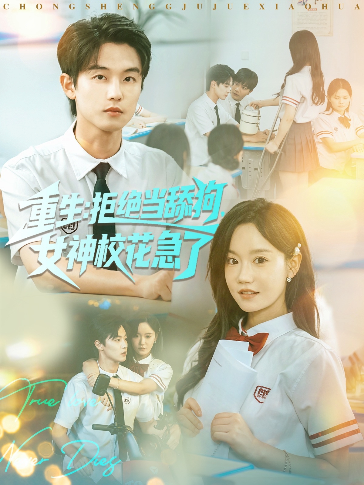 重生拒绝当舔狗女神校花急了