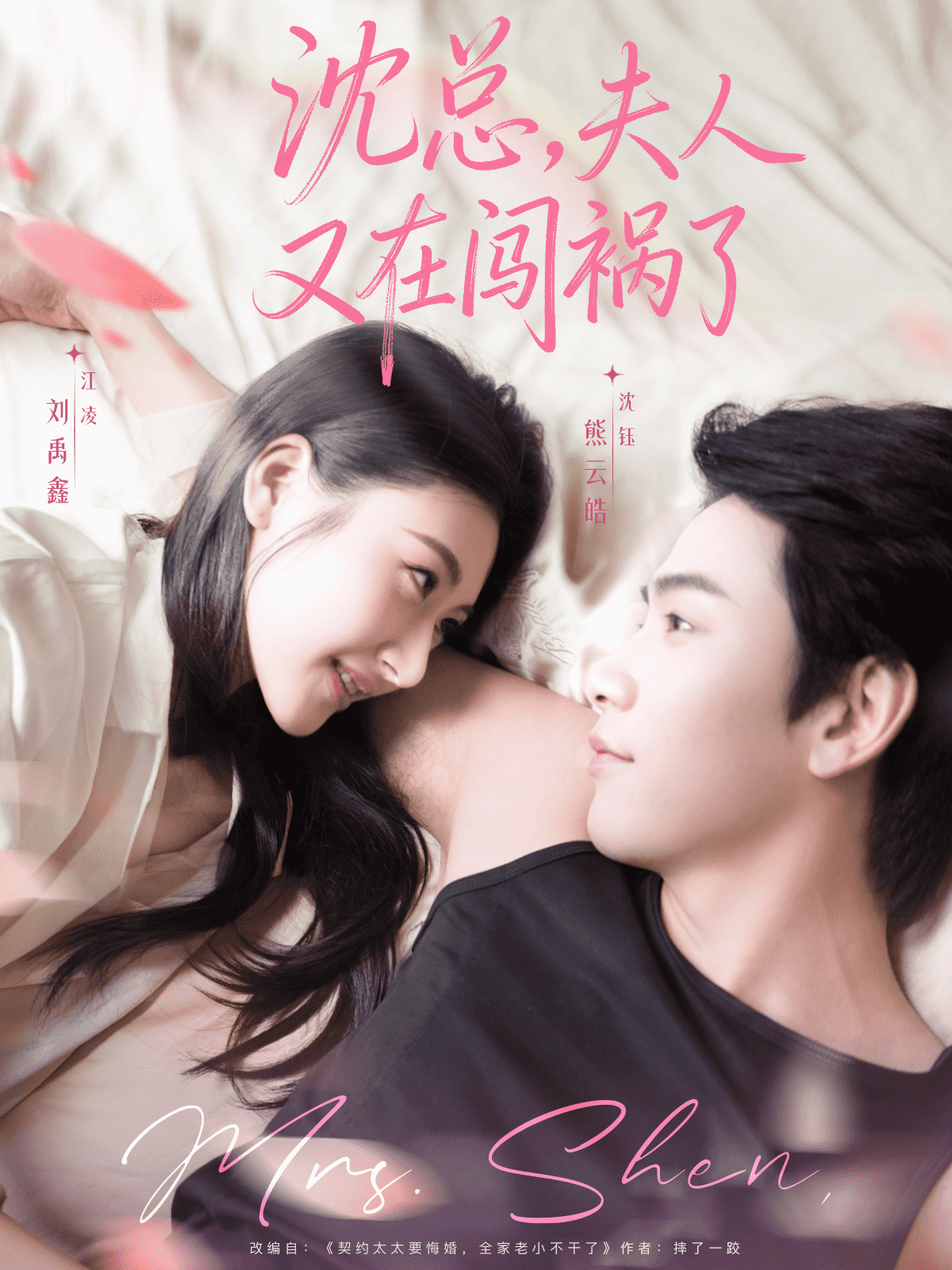 沈总，夫人又在闯祸了