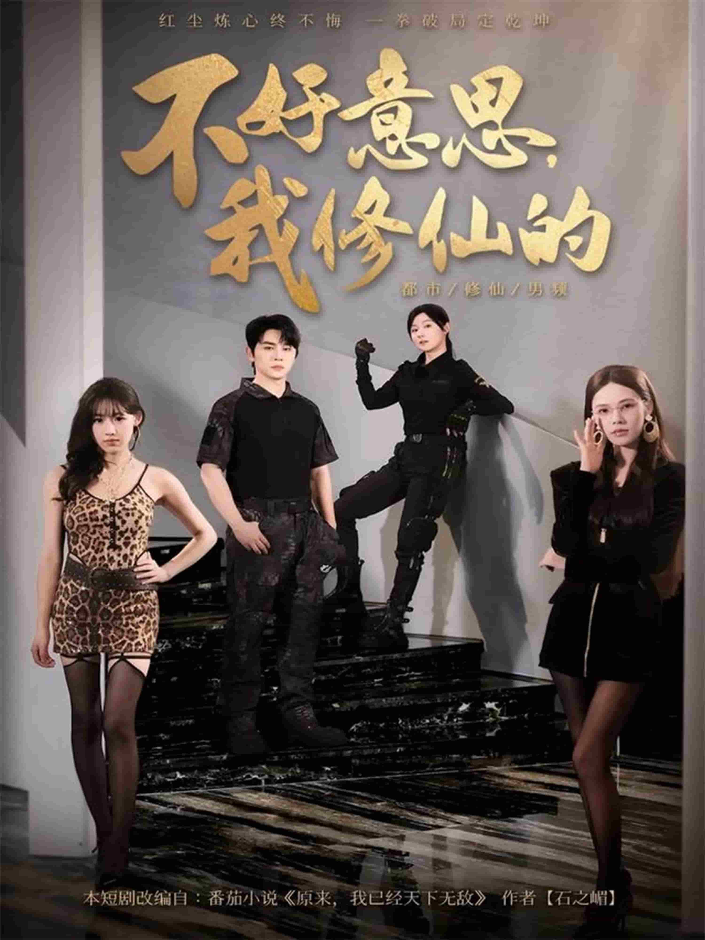 不好意思我修仙的