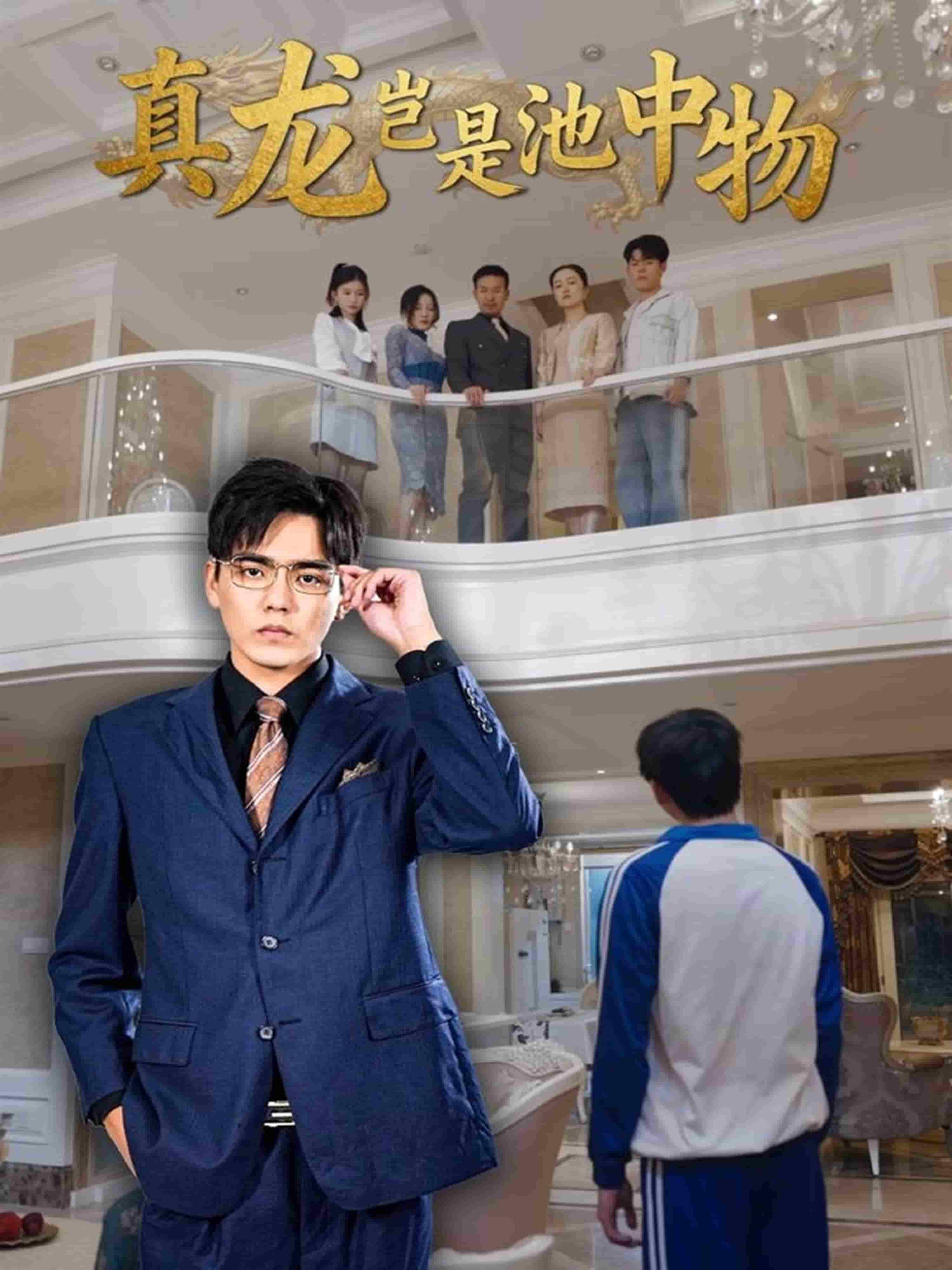 真龙岂是池中物